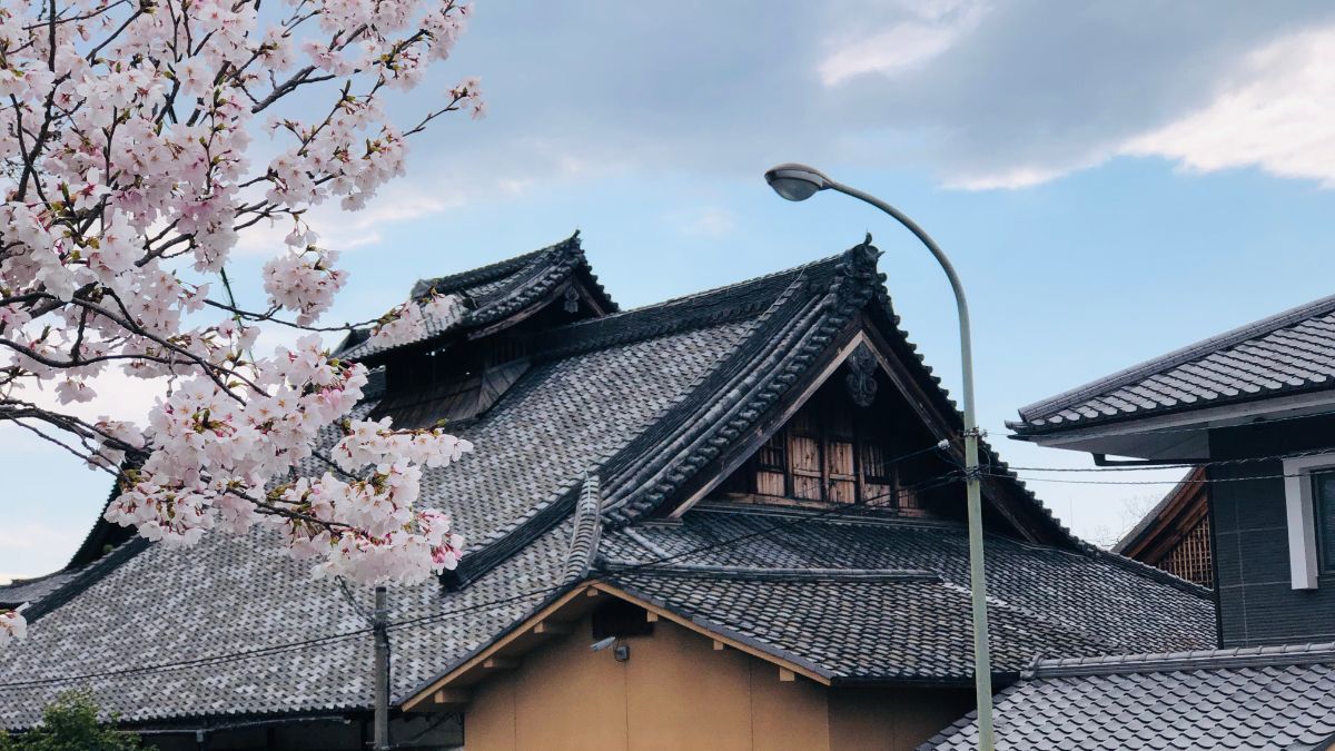 日本高度经营管理签证的优势